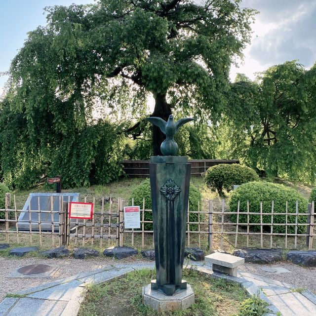 京都旅行！円山公園へ！