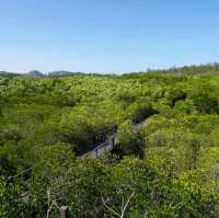 ป่าชายเลน วนอุทยานปราณบุรี
