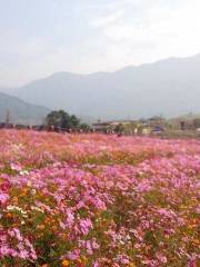 Kongyuan Flower Valley