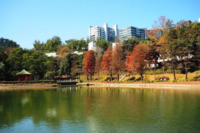 中文大學未圓湖