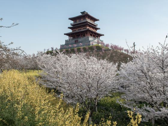 鄭州園博園