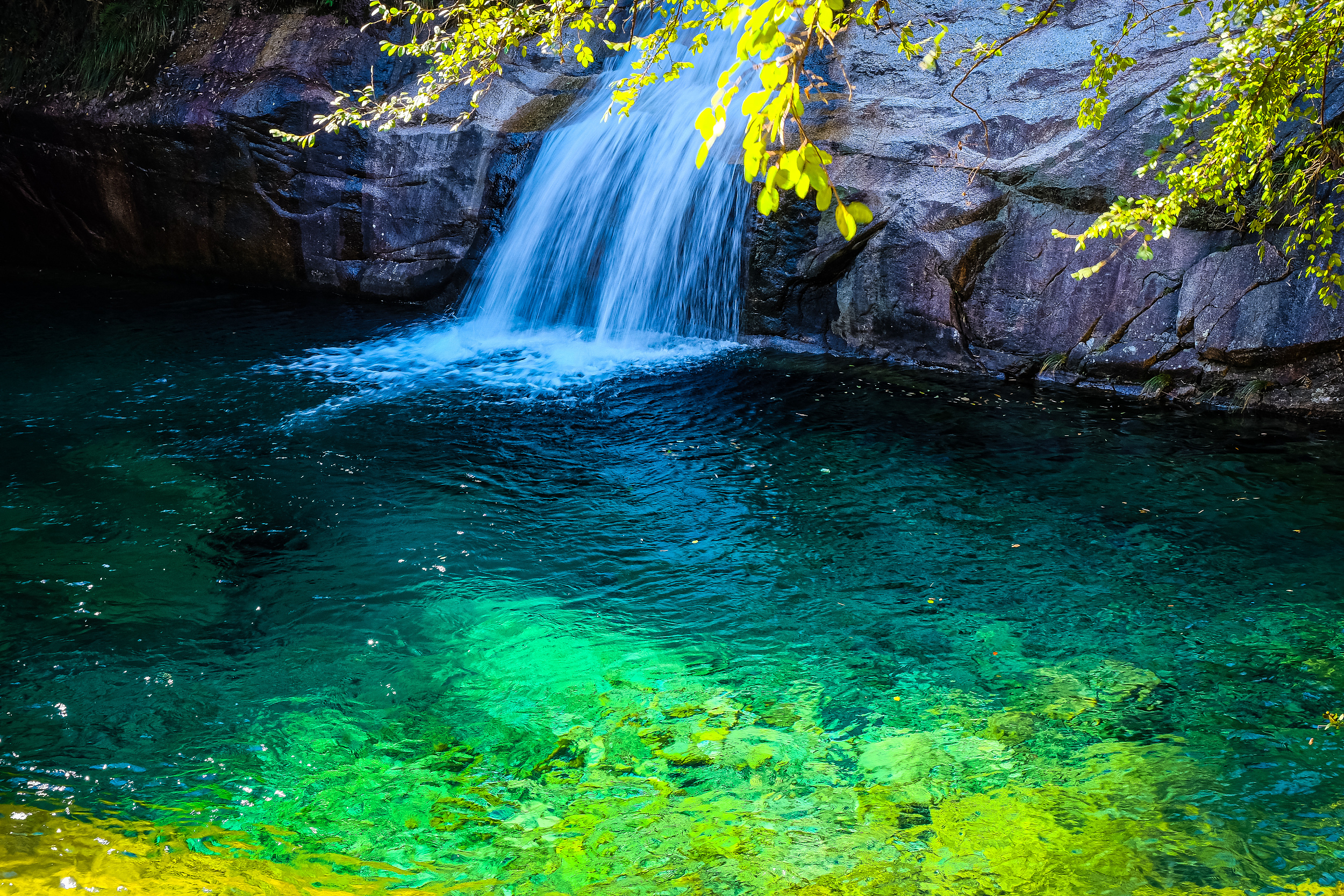 最新】黄山景勝地 - チケット、営業時間、口コミ、写真 [2025年