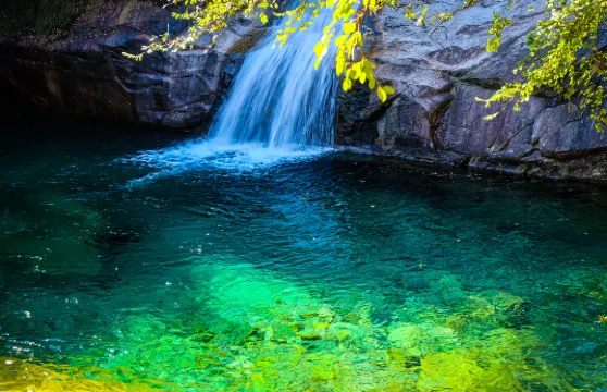 翡翠谷門票家庭(1位成人+1位小童)