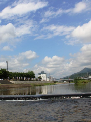 瀬野川河川敷