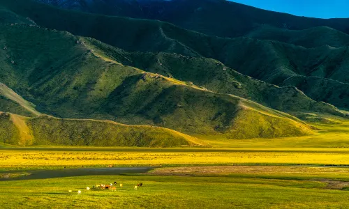 Hadamen Highlands Ranch