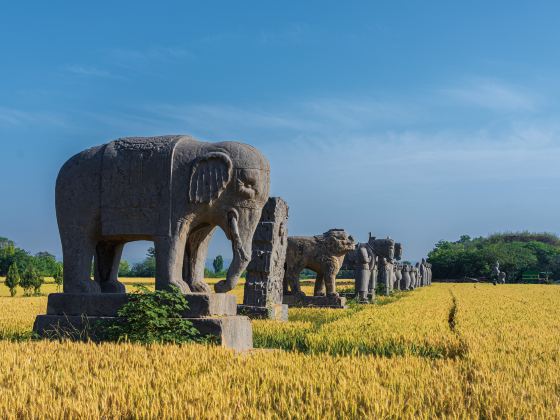 Yongtai Mausoleum