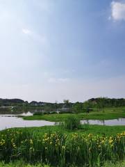 開慧鎮大明湖生態濕地公園