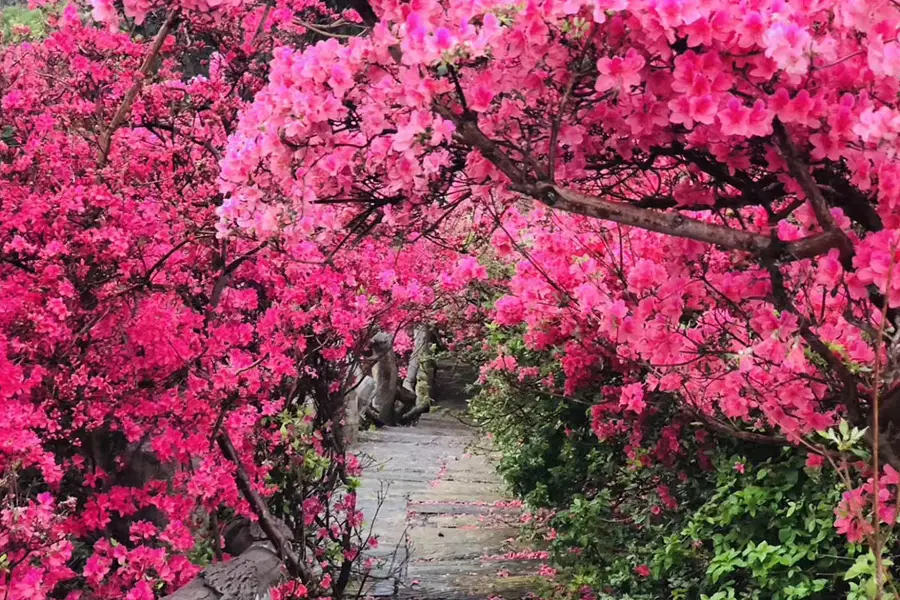 木蘭雲霧山