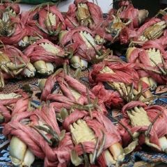 Intan Seafood Restaurant User Photo