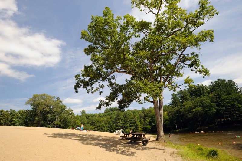 聖安東尼奧縣農場公園