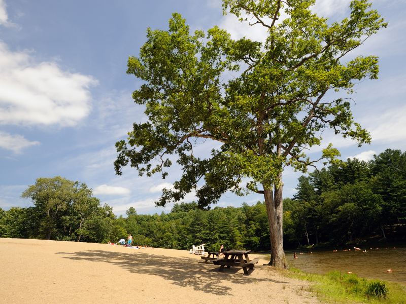 聖安東尼奧縣農場公園