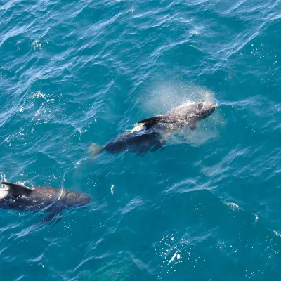 Хоумстей в г. Мотуэка