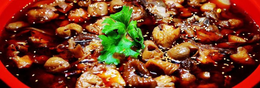 Tashuihefeichang Chicken