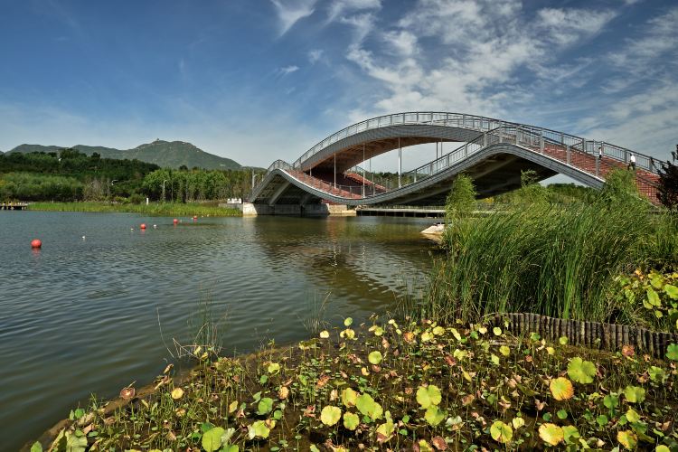 龙泉湖湿地景点图片