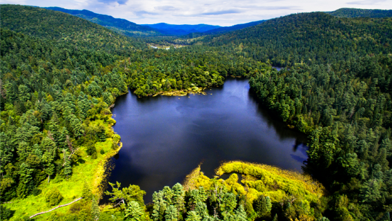 Crater National Forest Park