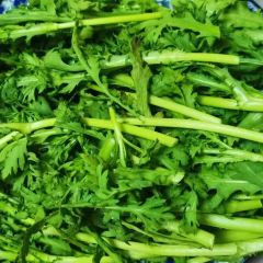 重庆小天鹅火锅(昌邑店) User Photo