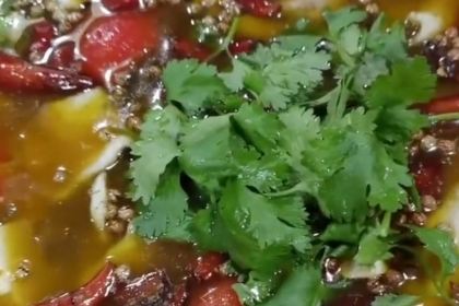 九道菜(瑞新街店)