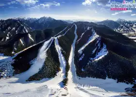 糸紬之路国際滑雪場