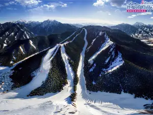 糸紬之路国際滑雪場