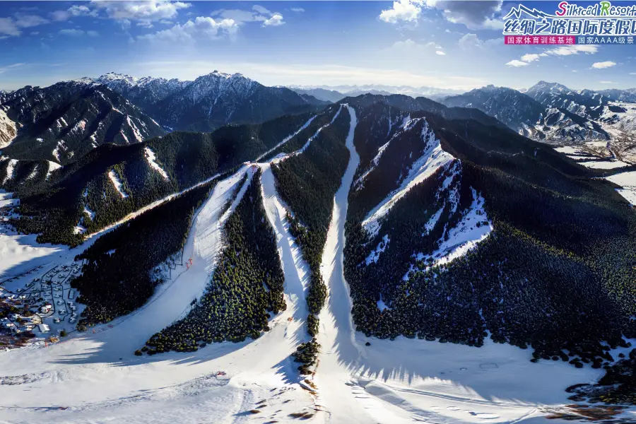 糸紬之路国際滑雪場