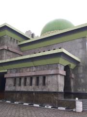 Централна джамия на Пъканбару