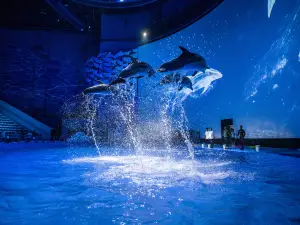 Chongqing Sunac Sea World