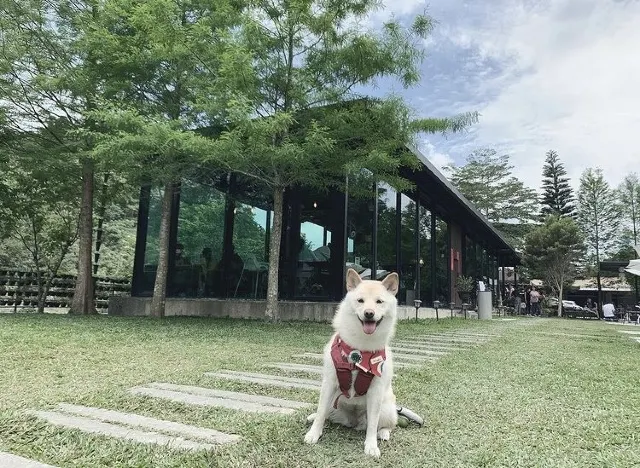 約定幸福-Pizza & Coffee