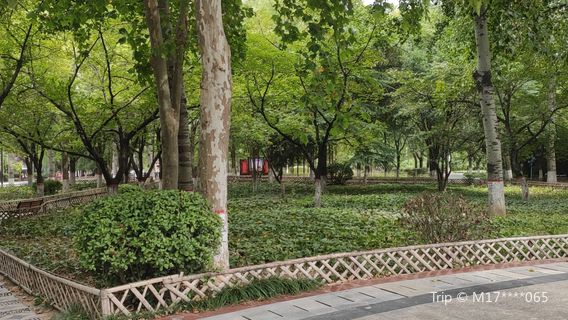 Puyang