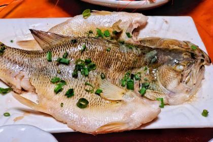 金龙人家