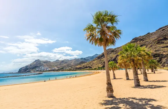 聖克魯斯-德特內里費