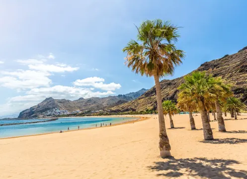 聖克魯斯-德特內里費