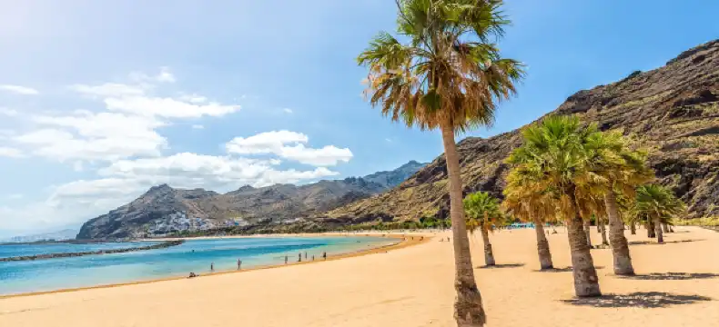 聖克魯斯-德特內里費