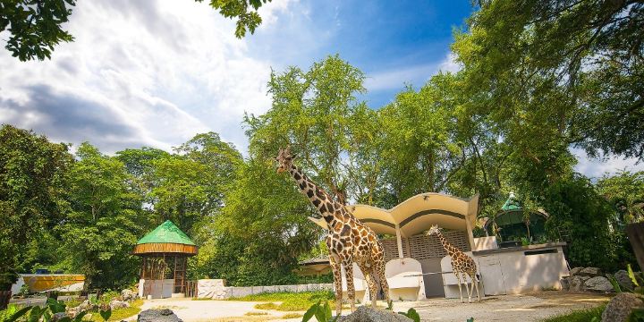 Zoo Negara Malaysia
