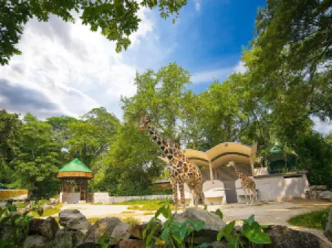 馬來西亞國家動物園