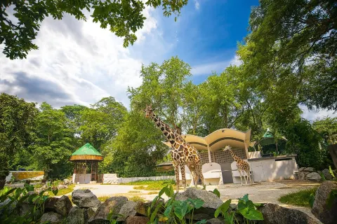 馬來西亞國家動物園