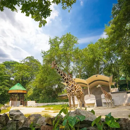 馬來西亞國家動物園