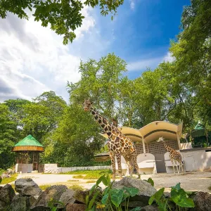 Zoo Negara Malaysia