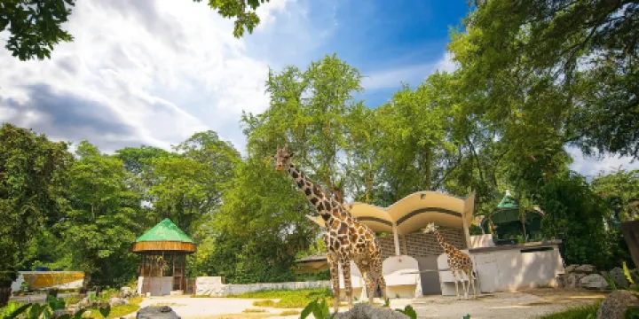馬來西亞國家動物園