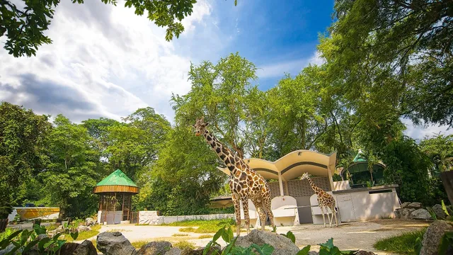 馬來西亞國家動物園