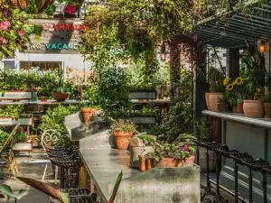 The Potting Shed at The Grounds