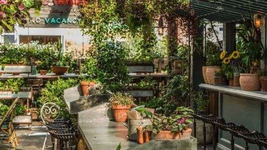 The Potting Shed at The Grounds