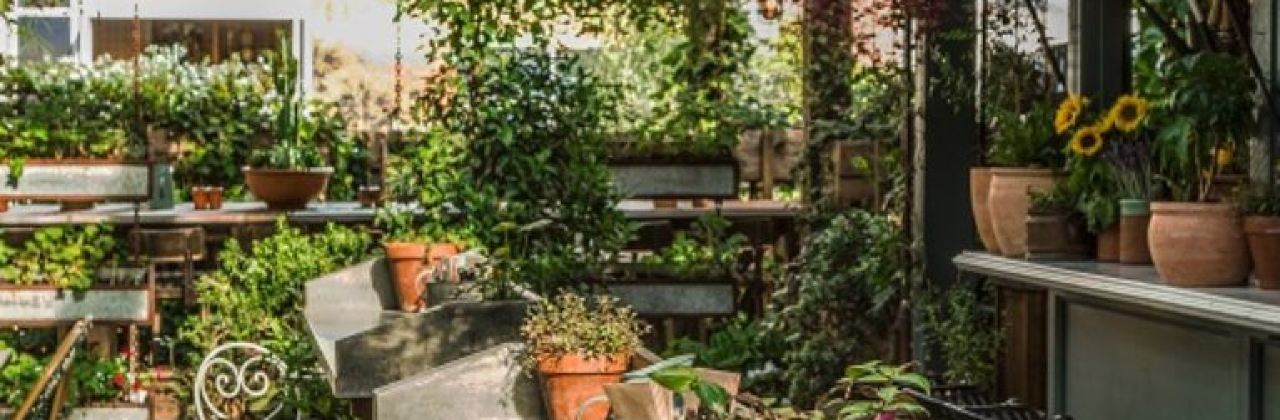 The Potting Shed at The Grounds