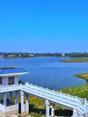 Maoming Qingnian Lake