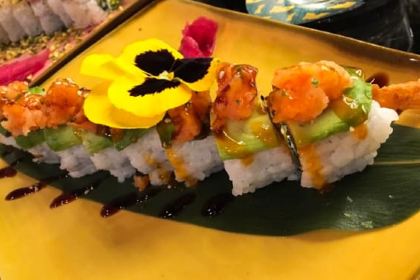 Amazonia Piazza Bologna