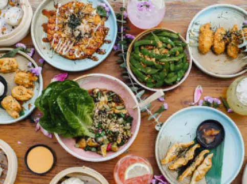 The Collective Palm Beach