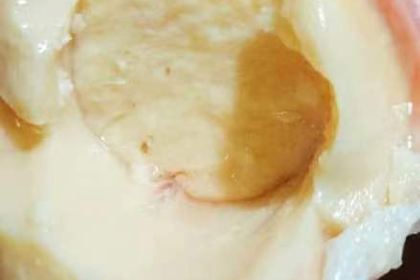 盛洋牛羊肉泡馍