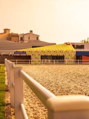 ARANYA HORSE CLUB