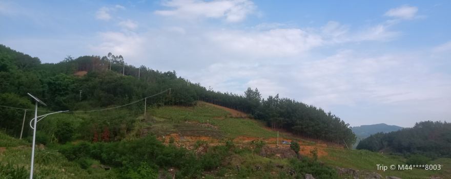 Tianshengqiao Tourist Scenic Resort of Longlin