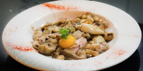 Vivo Tapas