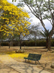 アルフロ公園